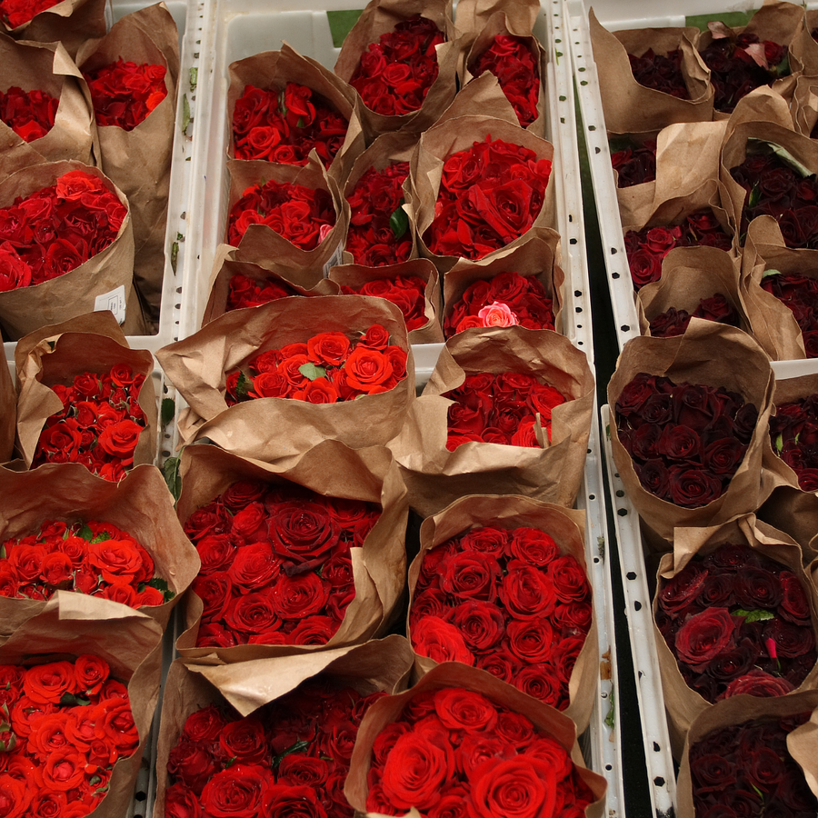 Responsable de site adjoint(e) - grossiste - Photo 1