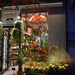Monsieur le fleuriste 